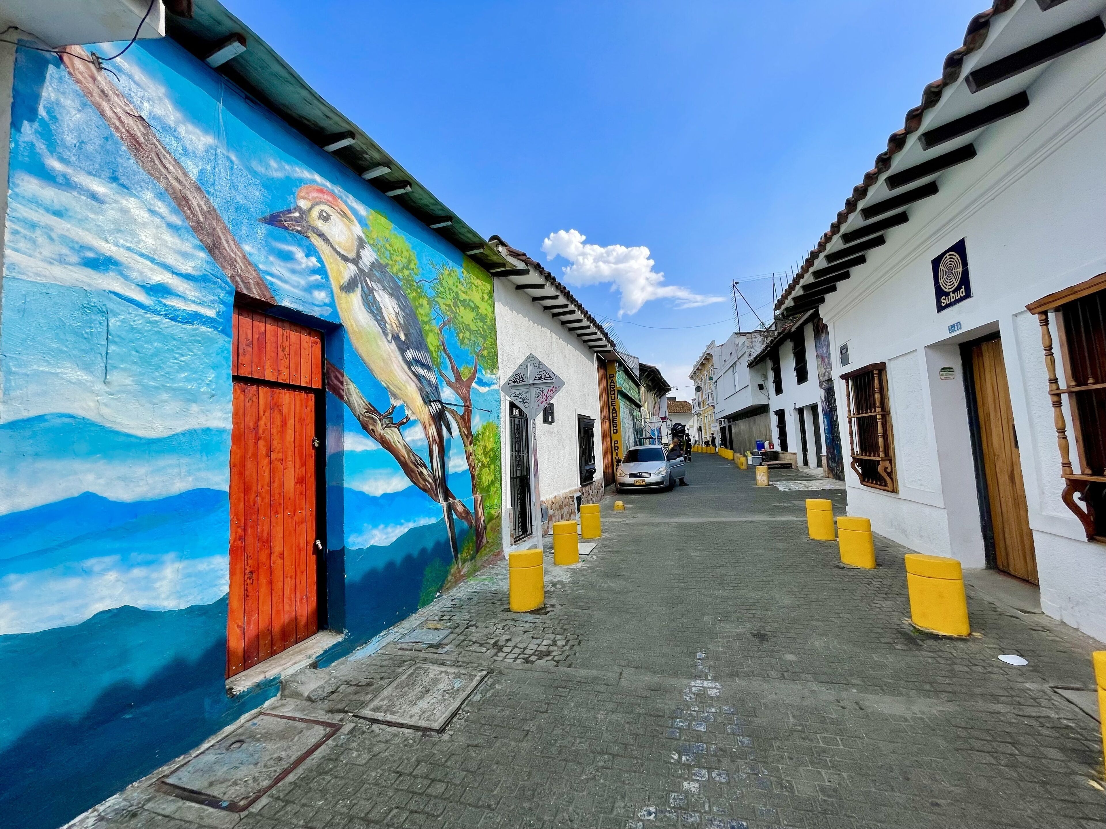 Foto - Chontaduro San Antonio Hostal