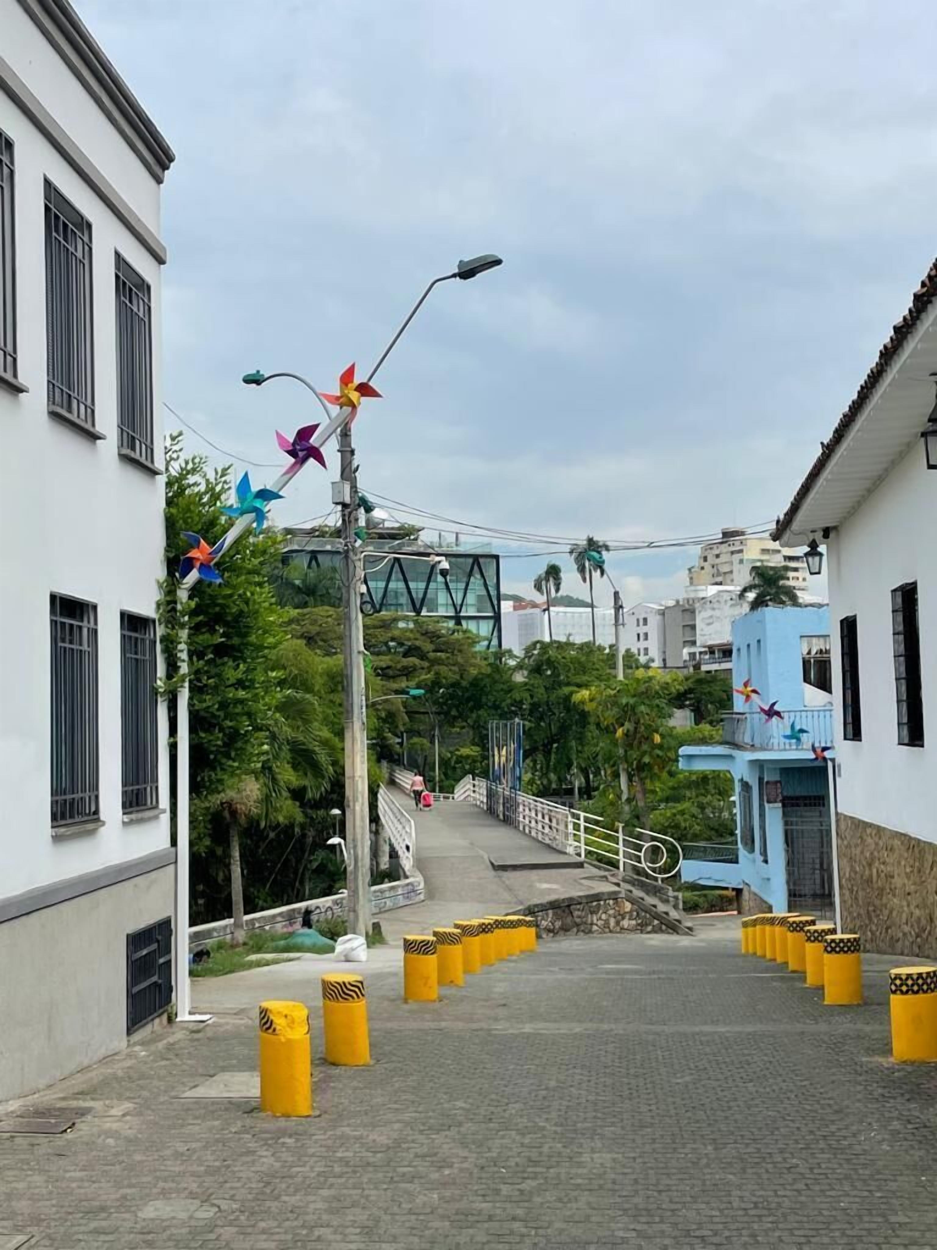 Foto - Chontaduro San Antonio Hostal