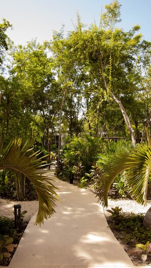 Stroll through lush gardens, surrounded by palm trees and tropical plants, leading to a serene retreat.