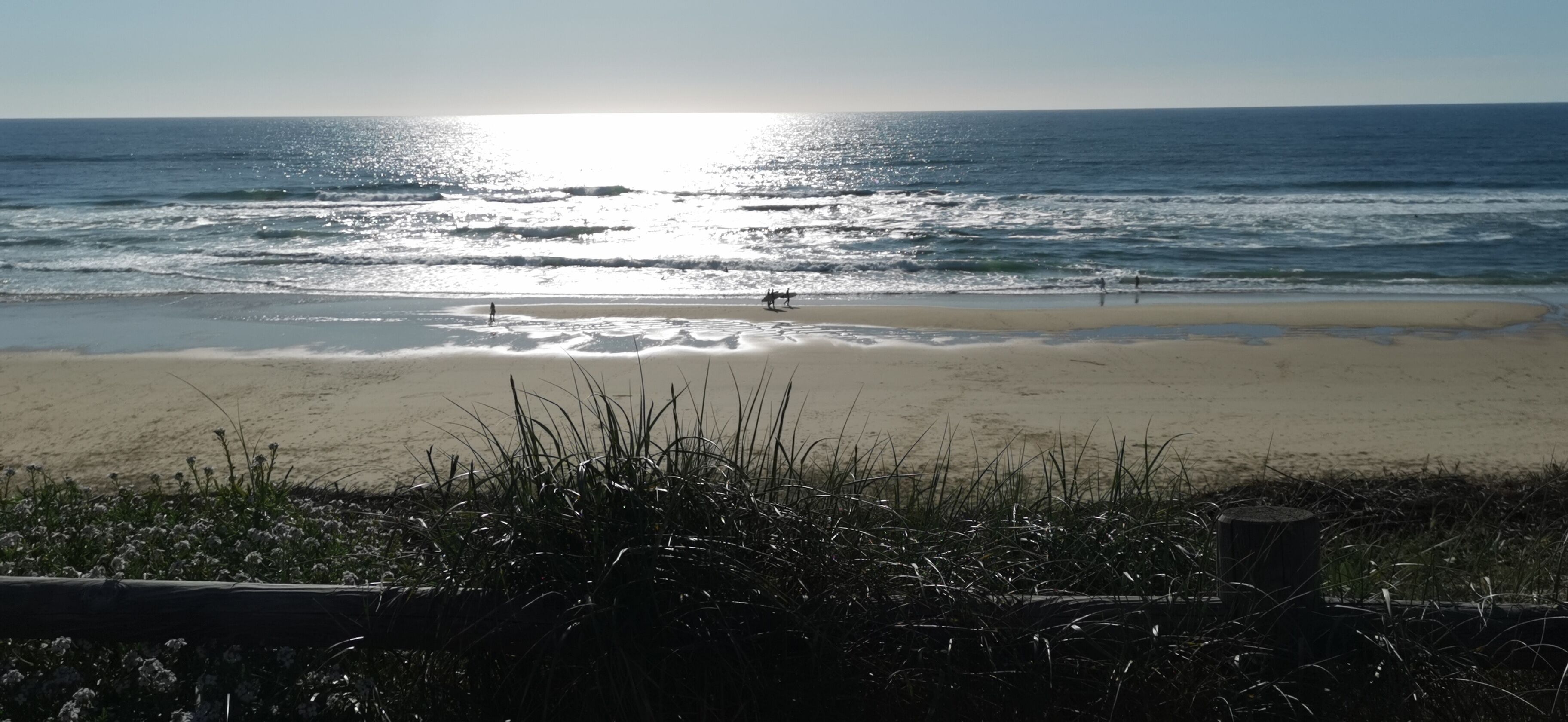 Una playa con olas, una orilla arenosa y algo de vegetación en primer plano.