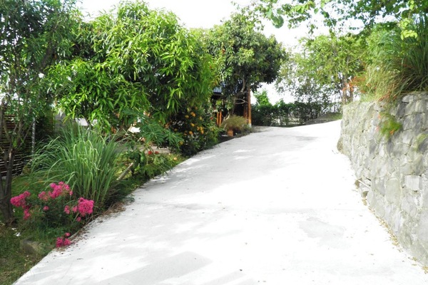 Eingang