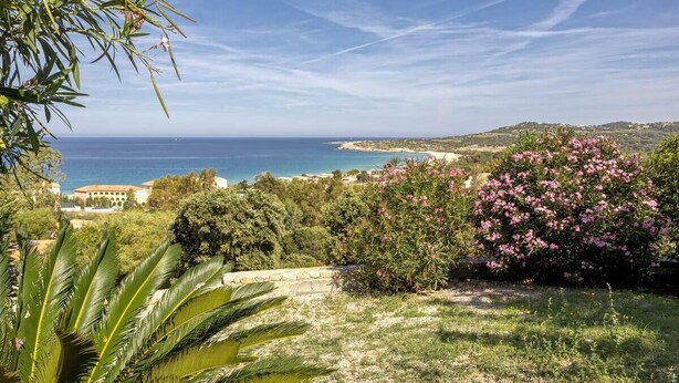A coastal landscape with a view of the sea, a grassy area with pink flowers, and a building in the background. - Casa Ghju (Algajola)