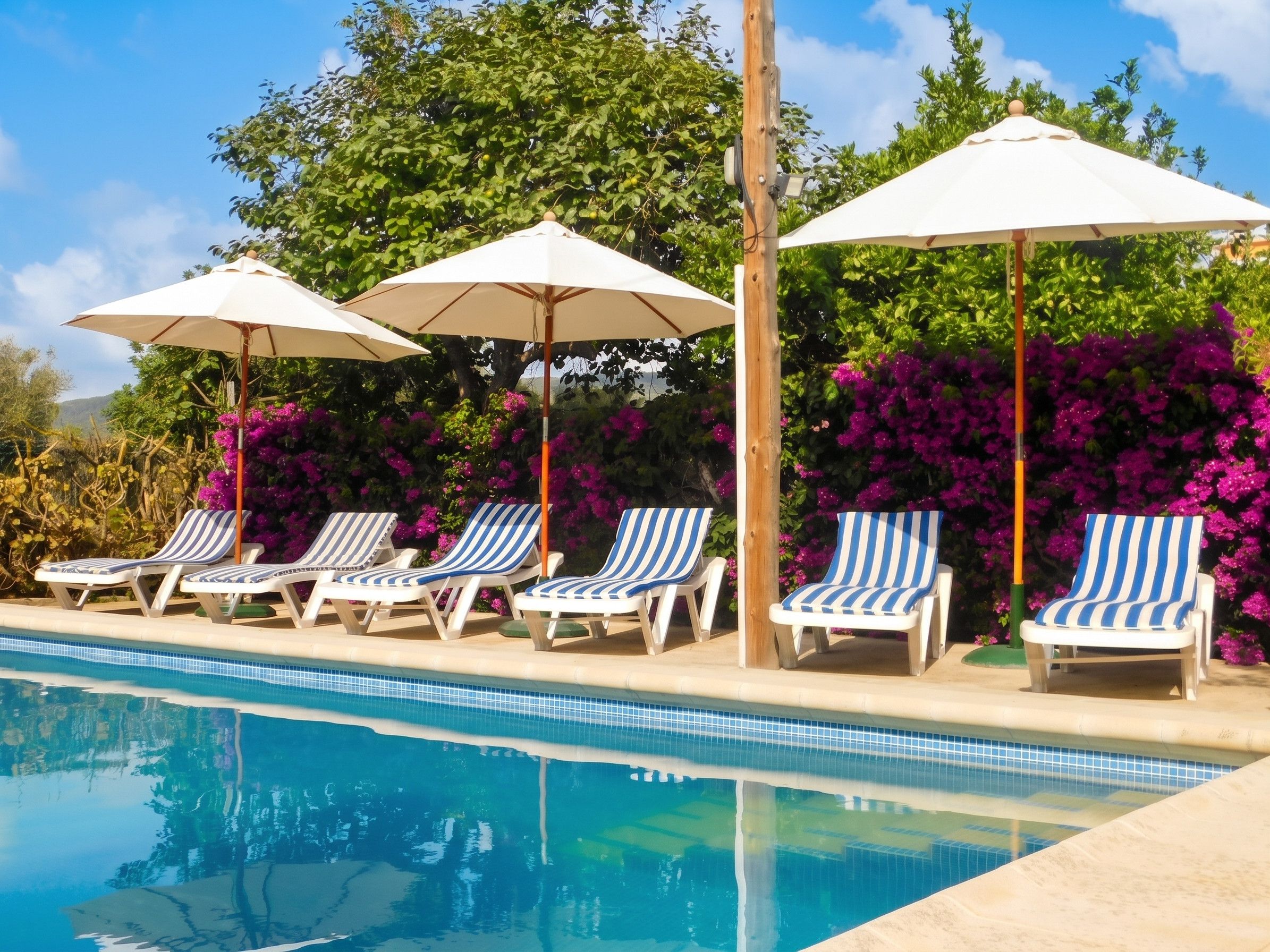 Swimming pool view