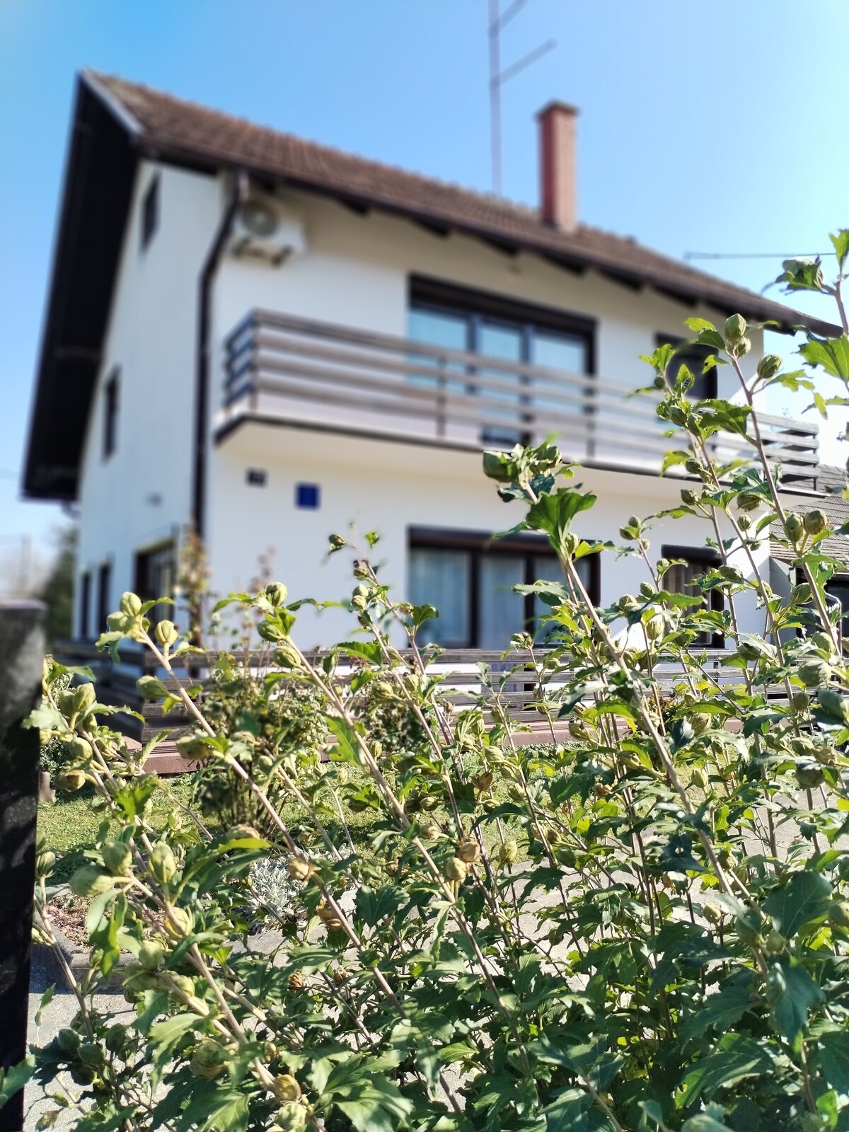 Bild für Gastgeberprofil