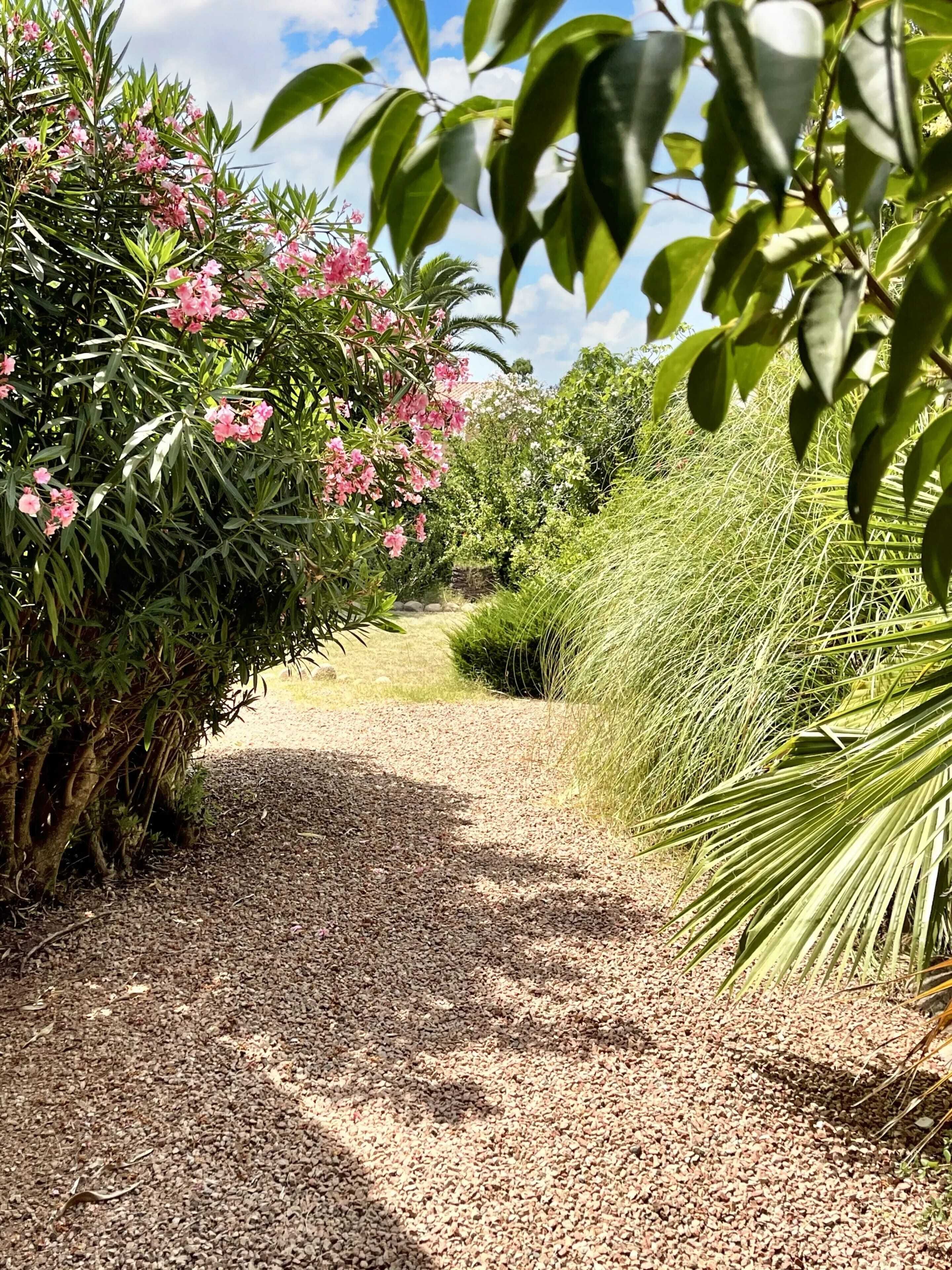 Jardin