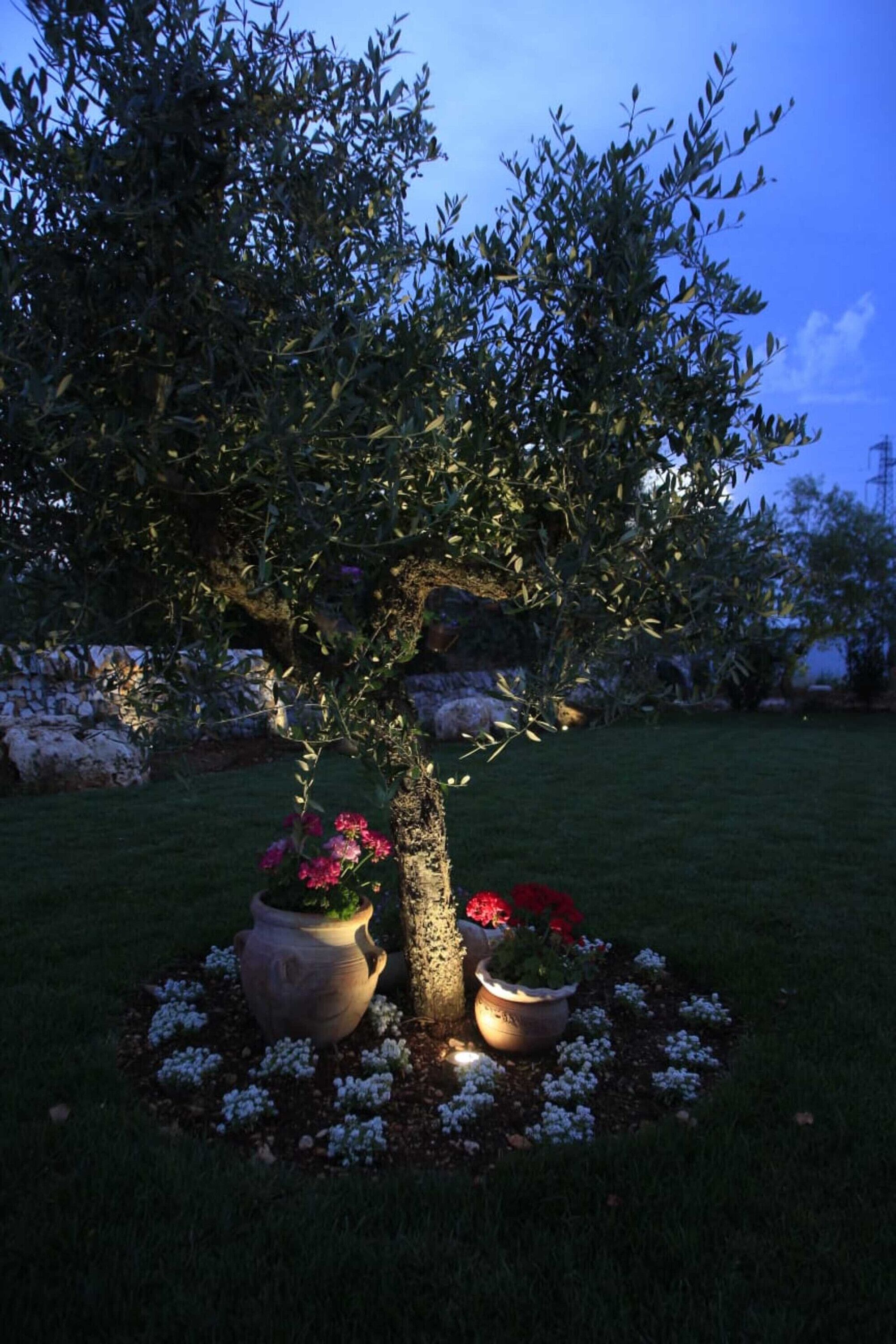 Áreas de la propiedad