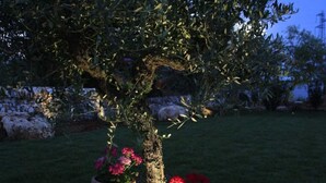 A tree with potted plants at its base, set in a grassy area with a stone wall in the background. - Villa 'Trulli Orma' with Private Pool, Wi-Fi and Air Conditioning (Locorotondo)