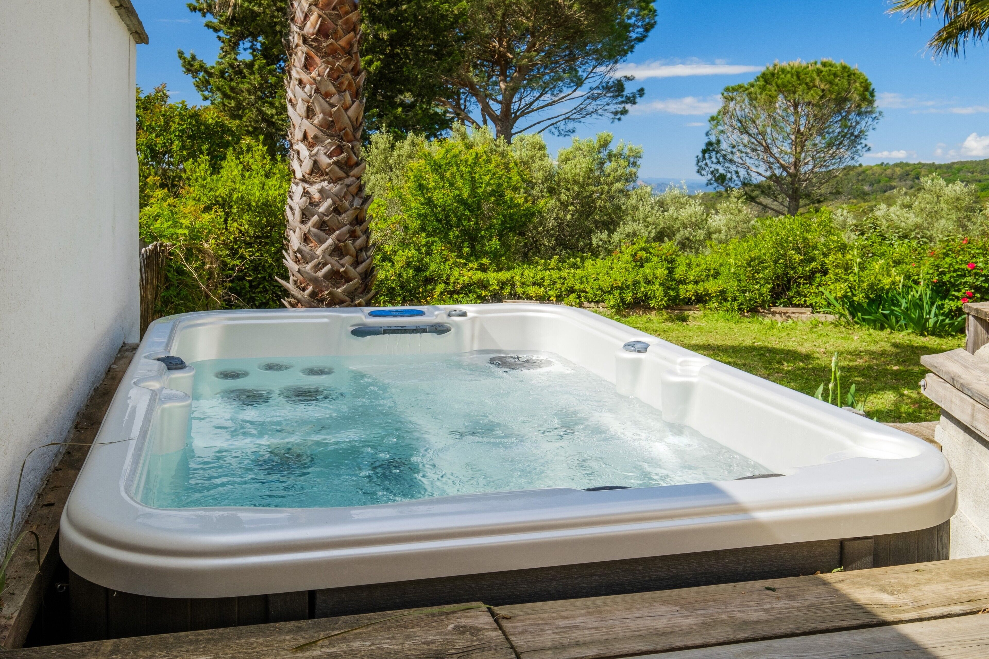 Un bain à remous dans un jardin, avec un mur blanc, un palmier et une végétation luxuriante.