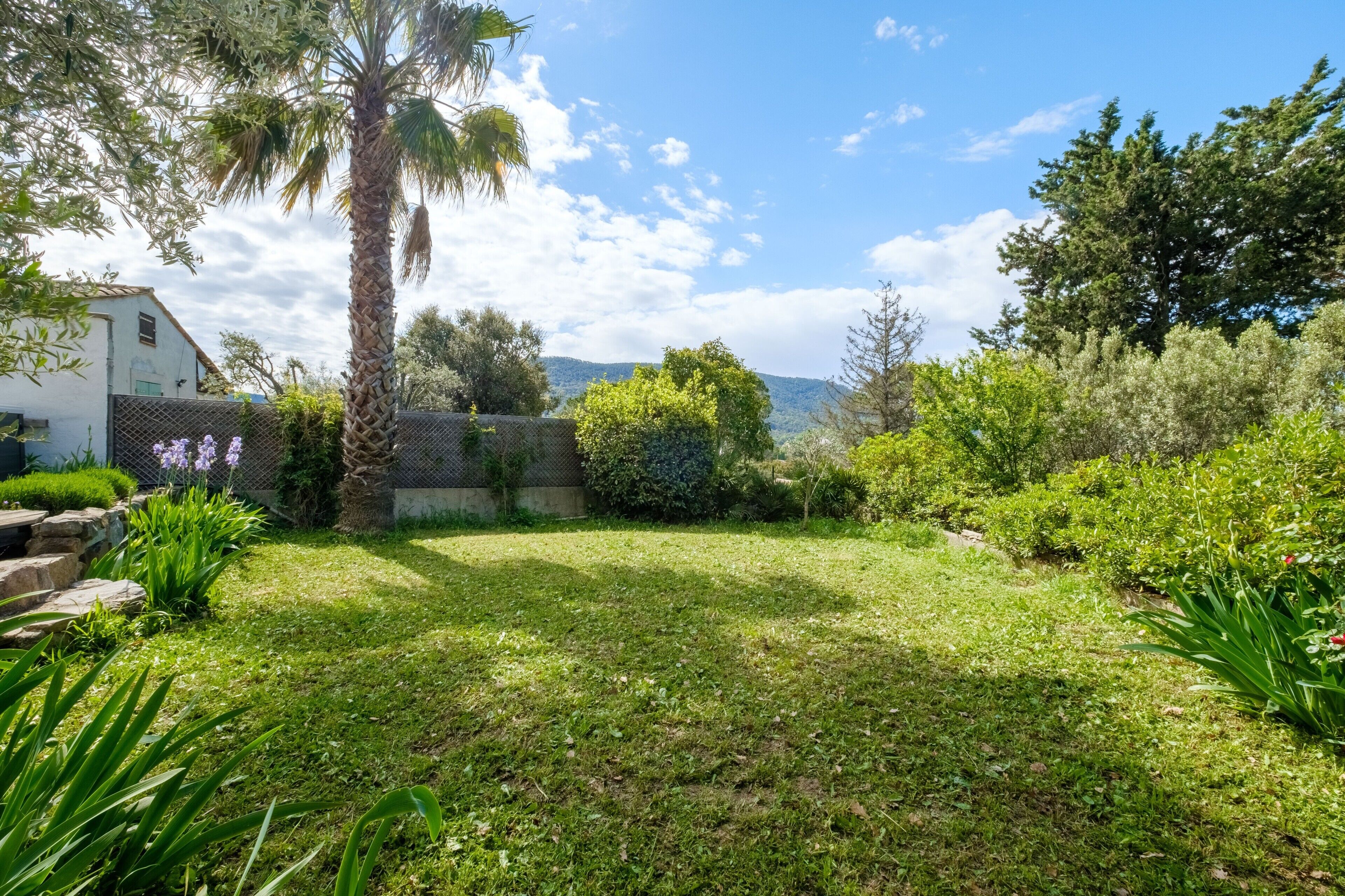 A garden with a palm tree, various shrubs, and a white building with a fence.