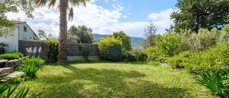 A garden with a palm tree, various shrubs, and a white building with a fence.