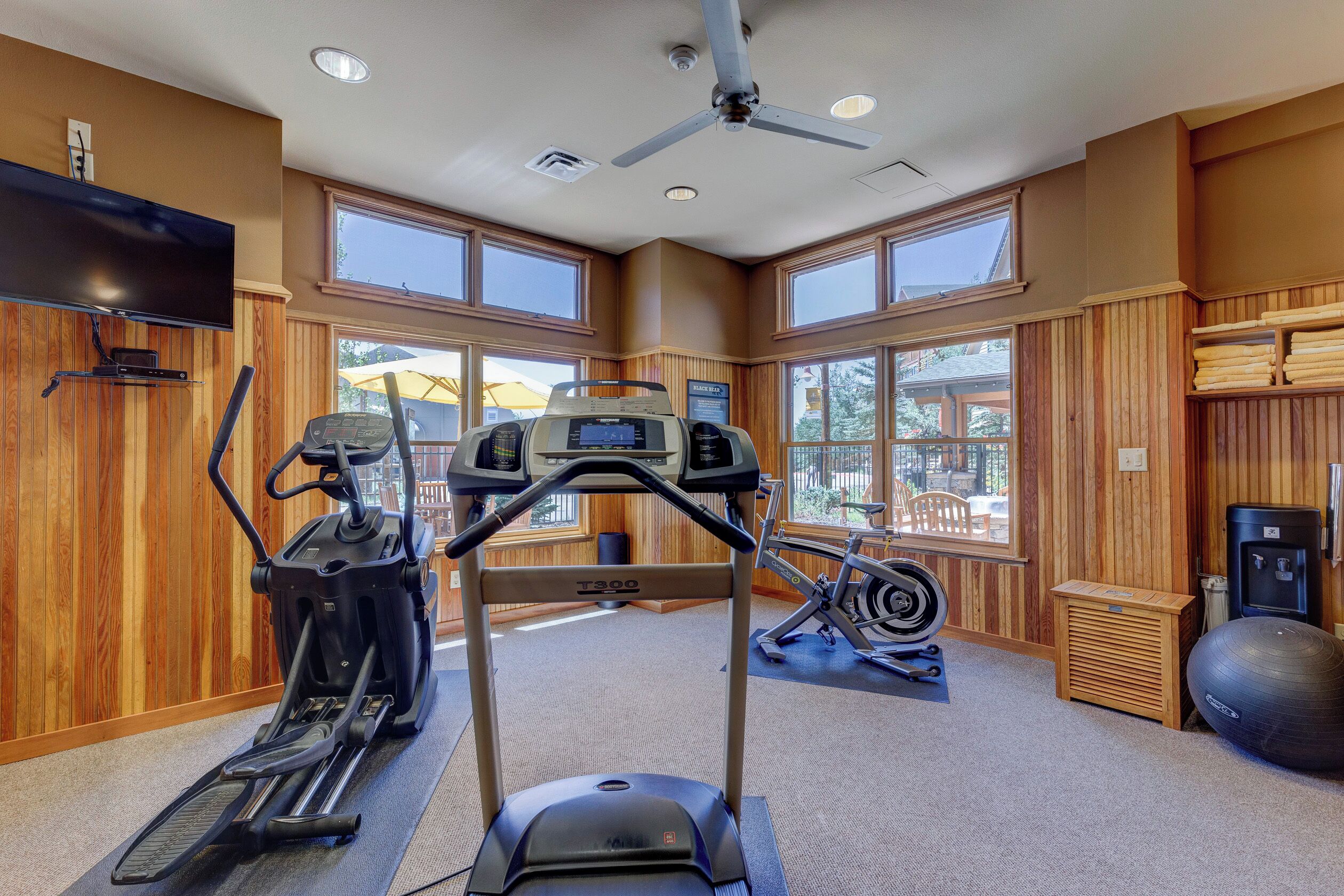 A home gym with treadmills, a stationary bike, and exercise balls.