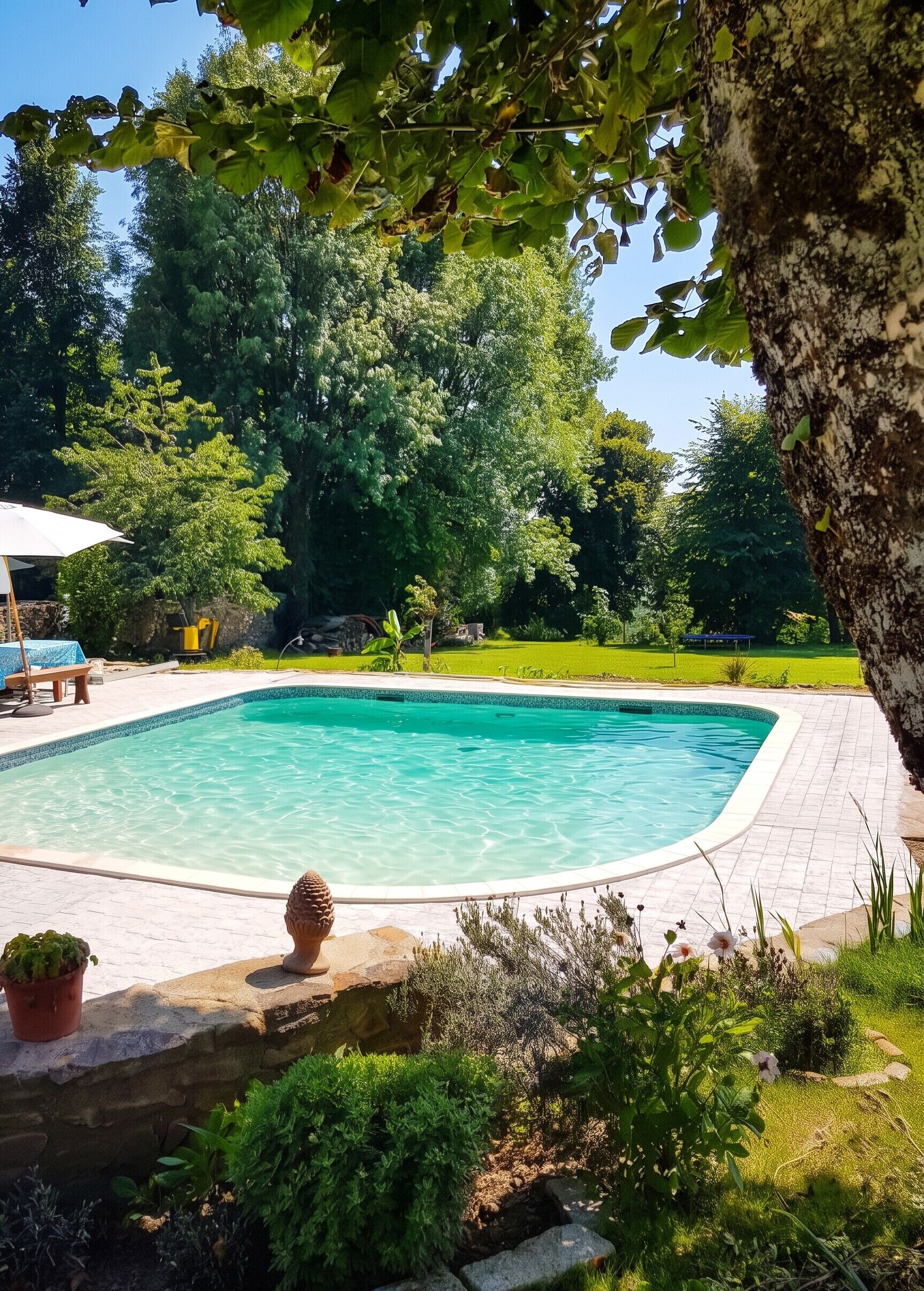 Vue sur piscine