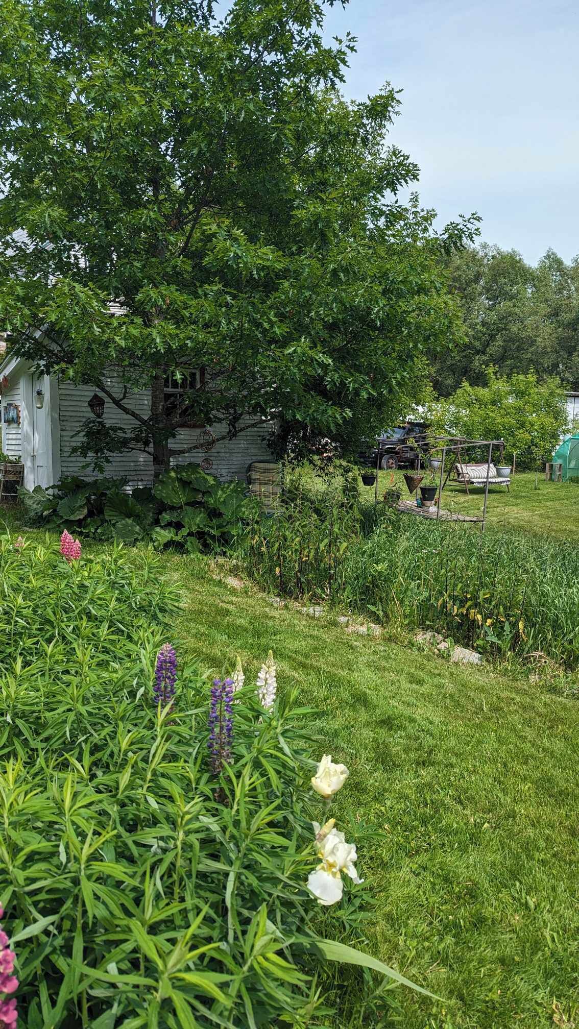 Un jardín con diversas plantas y flores, una estructura de madera y un coche aparcado cerca.