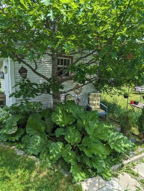 Property grounds - Fully equipped apartment with 1 bedroom in our century-old residence.
(Richmond)