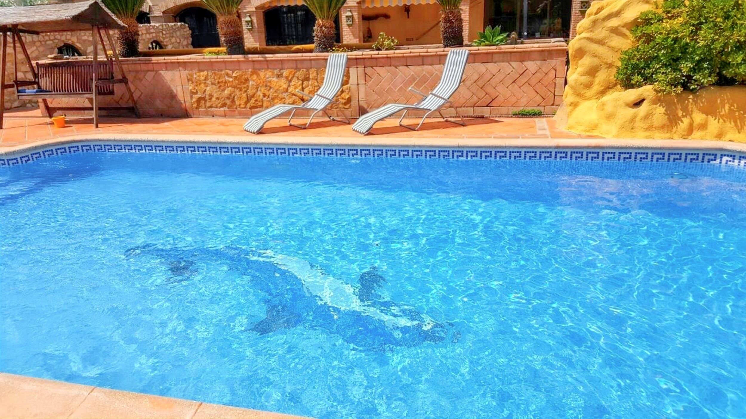 Swimming pool view