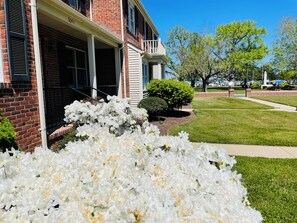 Terrein van de accommodatie