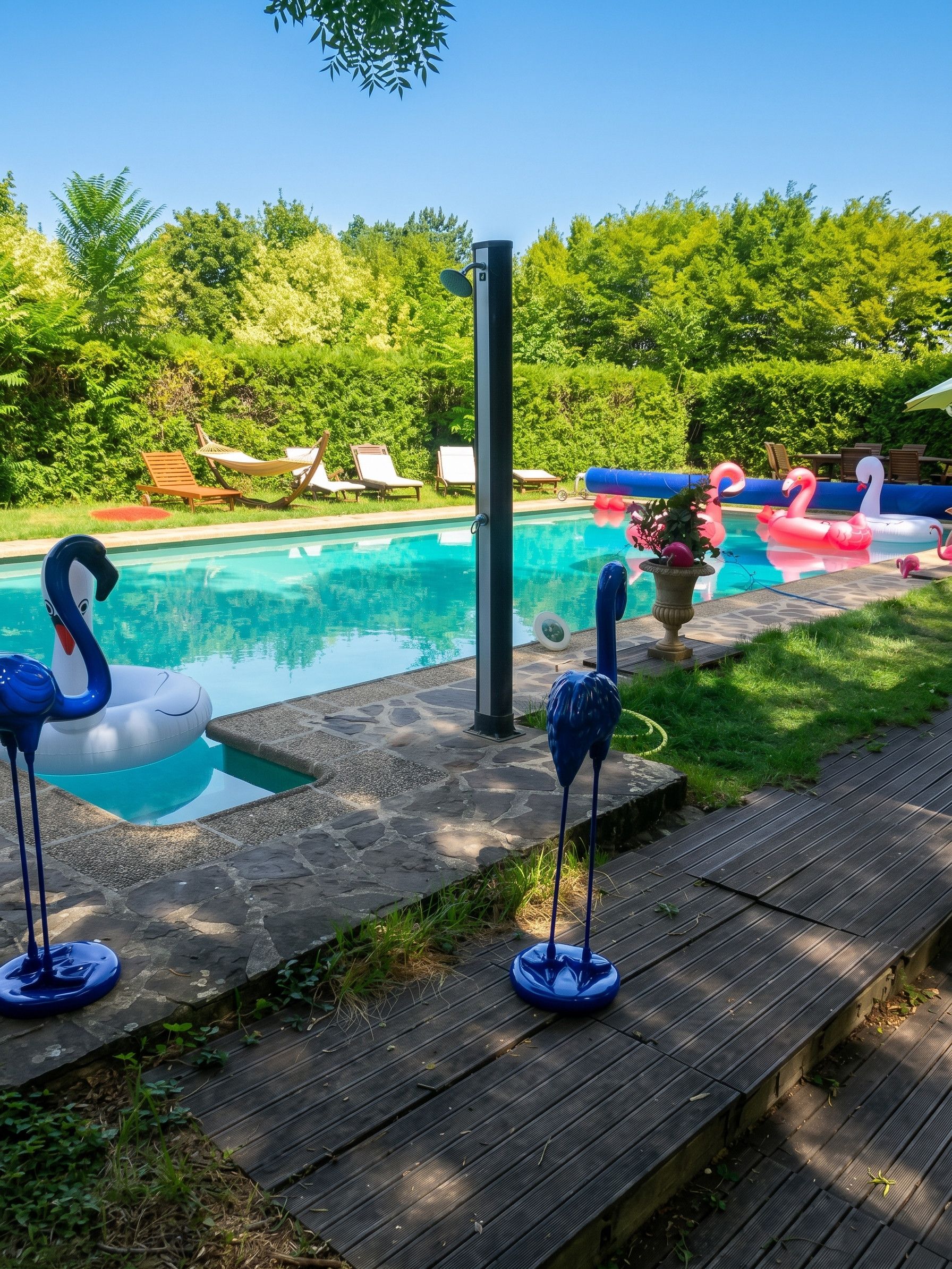 Swimming pool view