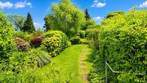 Un jardí exuberant amb una varietat de plantes i arbres, un cel clar i un pràcticament impecable.