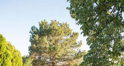 Wingate - Meridian, Cozy Acreage in the heart of the city