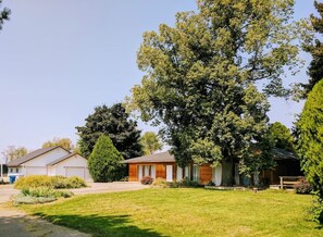 Eksteriør
