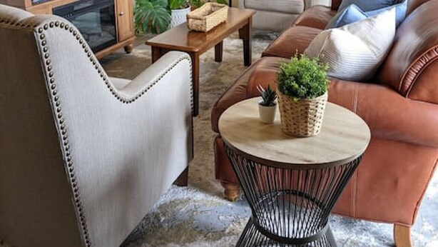 A living room with a sofa, armchair, coffee table, TV, and plants. - Wingate - Meridian, Cozy Acreage in the heart of the city (Meridian)