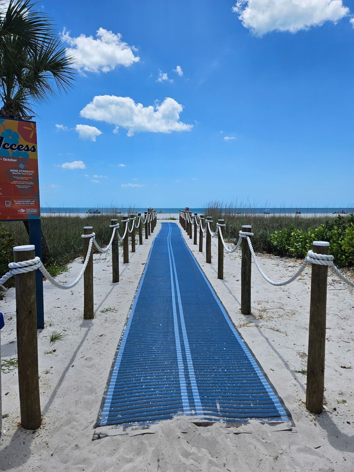 Imagen de perfil del propietario o de la propietaria