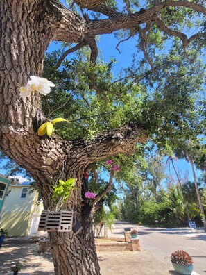 Overnattingsstedets uteområder