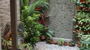 A covered patio area with potted plants and a stone-tiled floor. - Nora's Laureles (Medellín)