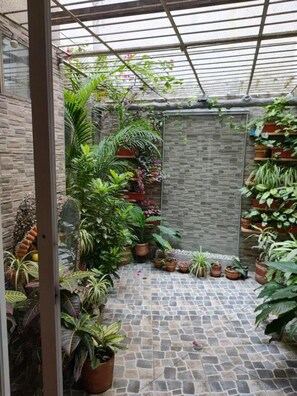 Terrace/patio - Nora's Laureles (Medellín)