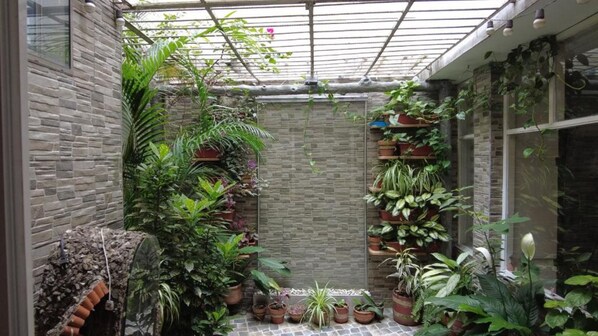 Terrace/patio - Nora's Laureles (Medellín)