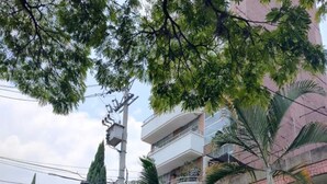 A residential building with multiple balconies, surrounded by tall trees and palm plants. - Nora's Laureles (Medellín)