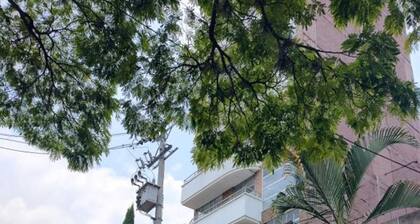 Nora's Laureles