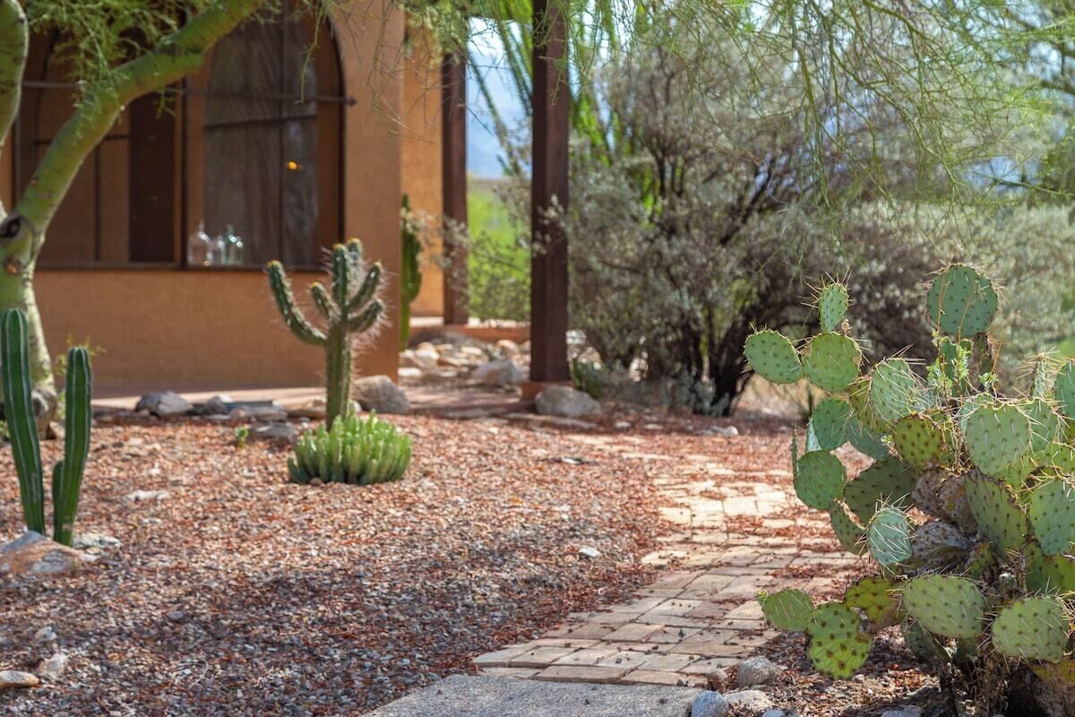 A garden with cacti and a paved pathway leading to a building.