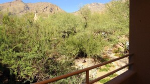 Vista de un paisaje montañoso con vegetación escasa y cielo despejado.