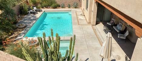 Une piscine avec un espace patio, entourée de cactus et de plantes du désert.