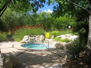 Une piscine entourée de rochers et de verdure, avec un banc et un panneau en arrière-plan.
