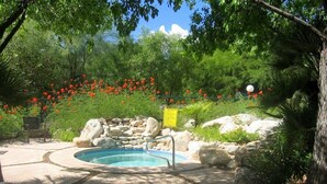 Une piscine entourée de rochers et de verdure, avec un banc et un panneau en arrière-plan.