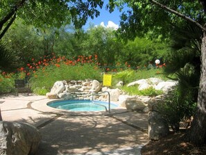 A swimming pool surrounded by rocks and greenery, with a bench and a sign in the background. - Condo 1236 at Ventana Vista (Tucson)