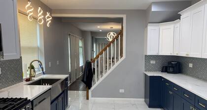 Charming 5 bedrooms 2 bath near Downtown Loop and Mc cormick Place, Museum