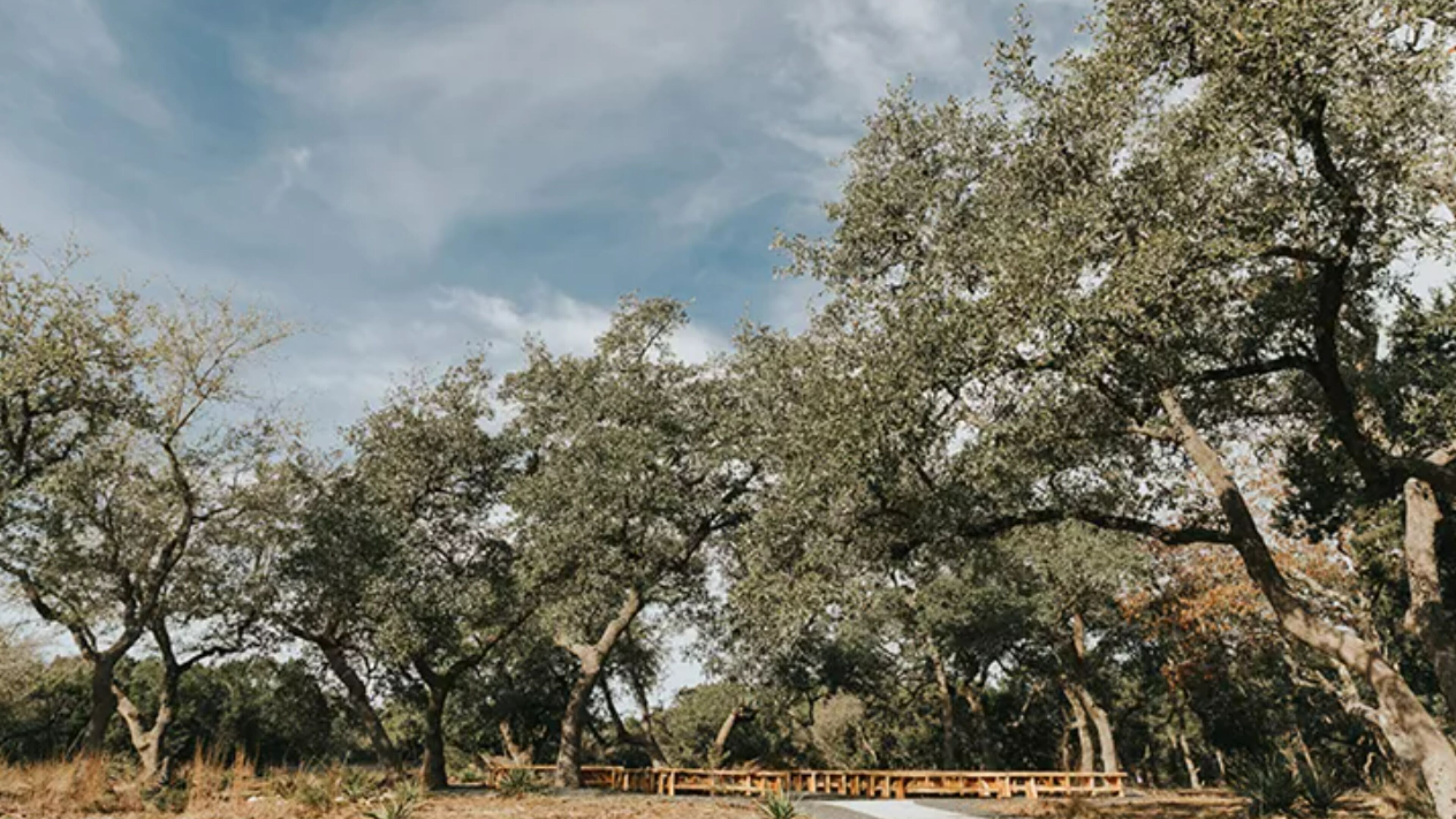 A pathway surrounded by trees with a wooden fence and a bench.