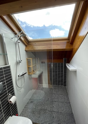 Dusche, Haartrockner, Handtücher, Seife