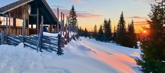 3 bedroom gorgeous home in Sjusjøen