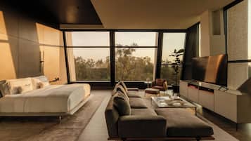 Alexander Suite | View from room