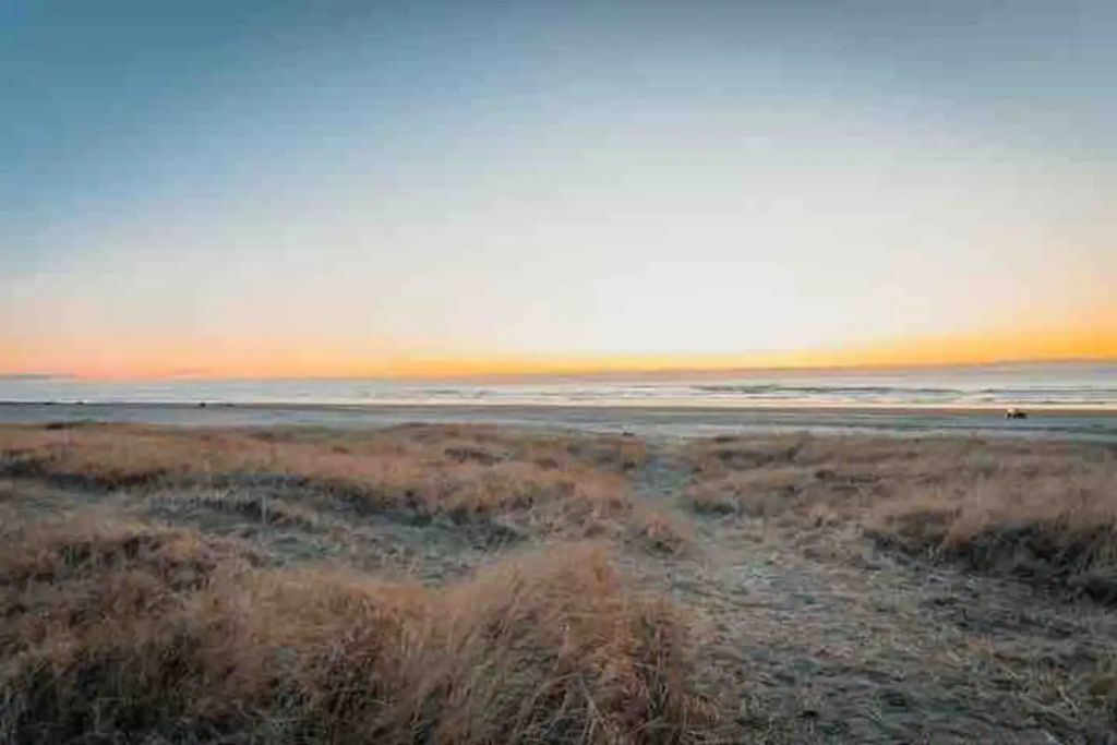 A coastal landscape with a clear sky and a path leading to the beach.