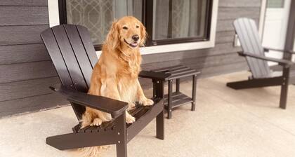 New Shoreline Home | Waterfront | Sauna | Views | Dogs | Trail Access