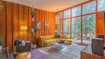 Smart TV, fireplace, books, music library