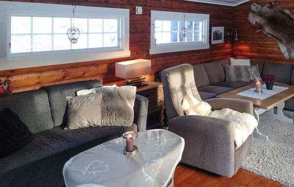 تلفزيون، مدفأة