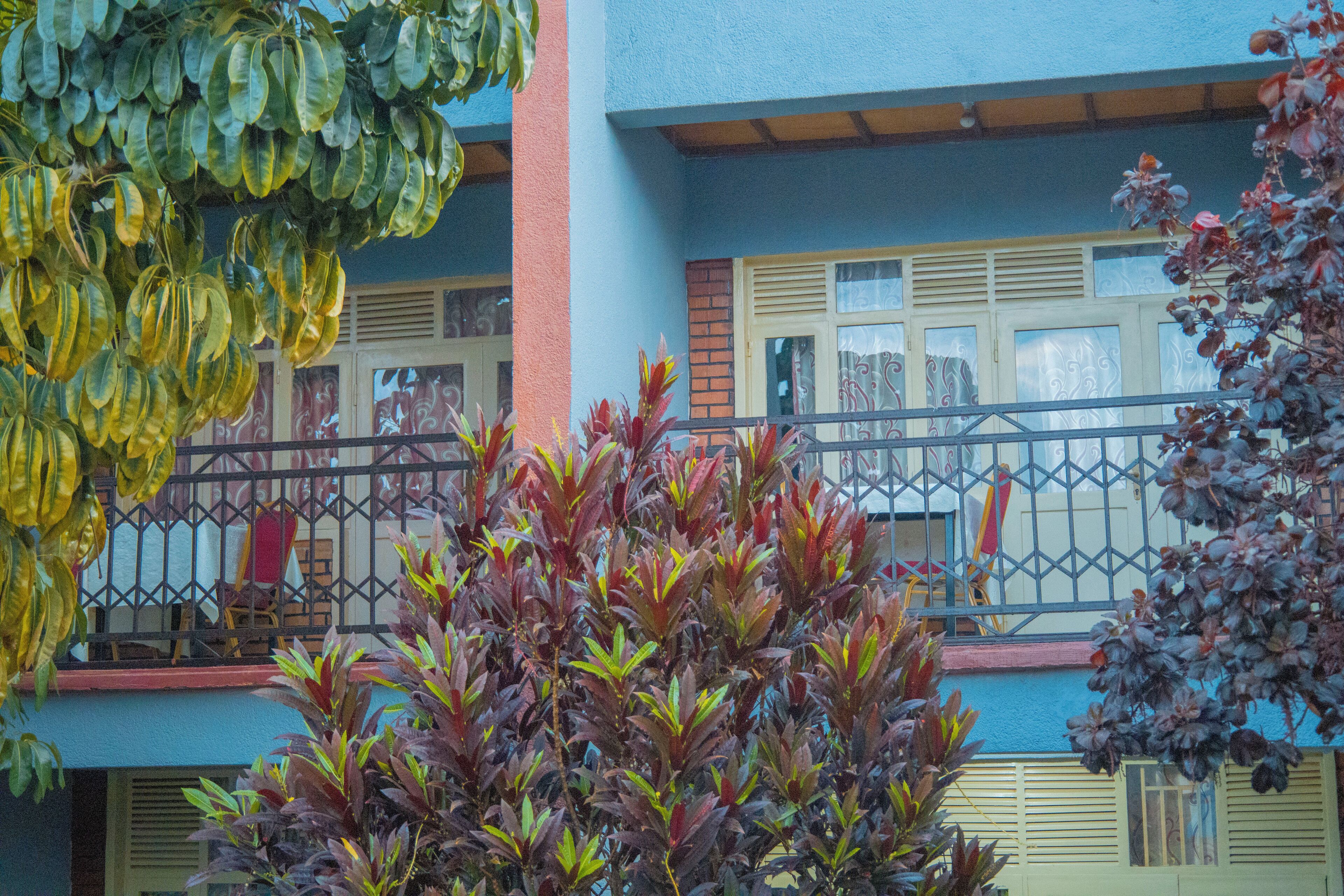 Economy Single Room | Terrace/patio