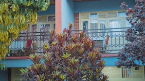 A building with a balcony, a window with a curtain, and a plant in the foreground. - Quinta Nova Hotel (Kigali)