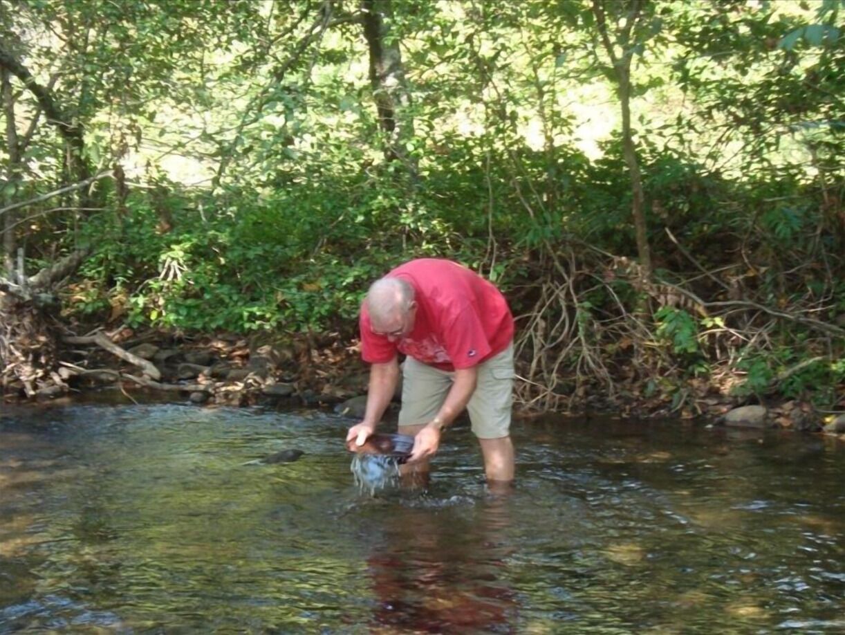 A man in a red shirt and khaki shorts standing in a shallow stream surrounded by greenery.